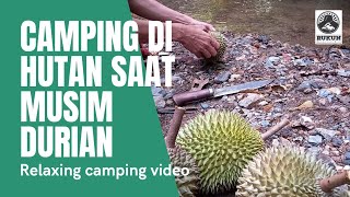 CAMPING DI HUTAN SAAT MUSIM DURIAN - RELAXING CAMPING VIDEO