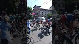 giro d'Italia tappa Voghera Milano... passaggio a Milano del gruppo