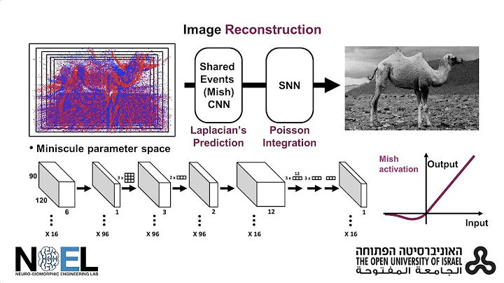 Image Reconstruction From Neuromorphic Event Cameras With Spiking and Artificial Neural Networks