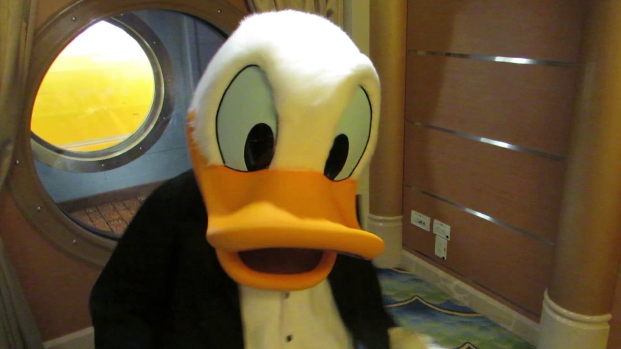 Meet and Greet: Donald Duck in Norway ( Disney Cruise)