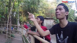 Suara Burung : Ngekek 2 Menit Up, Lovebird Sinden Layak Juara Dari Yang KONSLET
