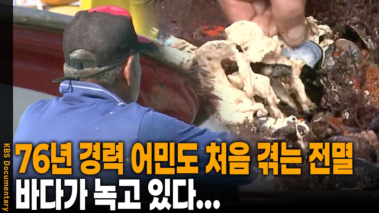 2100년, 바다에는 해파리만 남을 것! 바다가 더 이상 버티지 못하고 내뱉기 시작한 죽음의 경고 | KBS 특집 20101118 방송