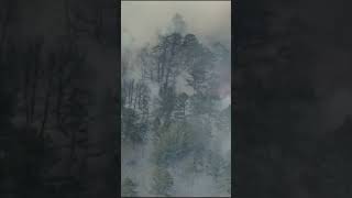 Brush fire on Cape Cod now fully contained in Massachusetts