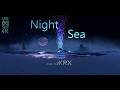 Night Sea VR 360 4K