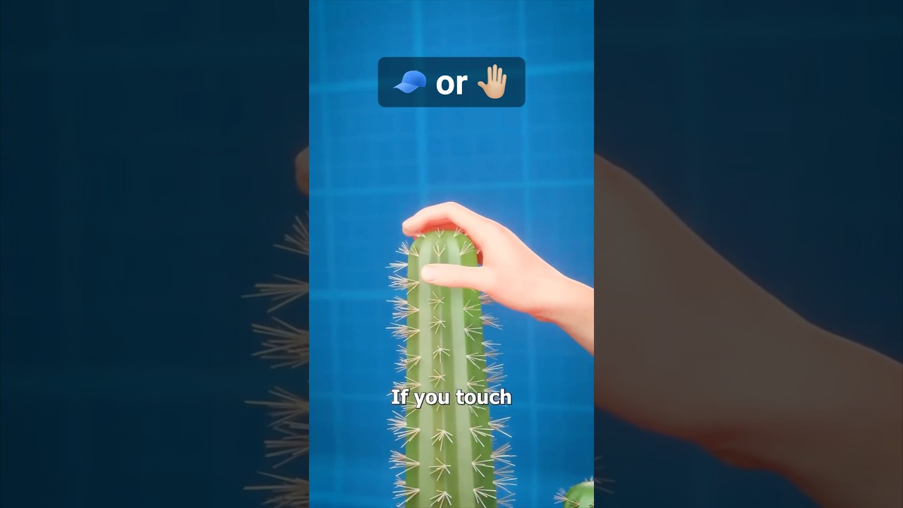 If You Touch A Cactus 🌵