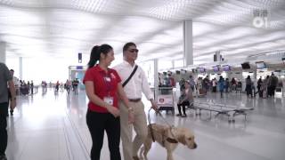 【導盲犬搭飛機】與導盲犬實習登機　外遊前要做足準備│寵物熱話