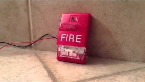 EST genesis horn strobe demonstration