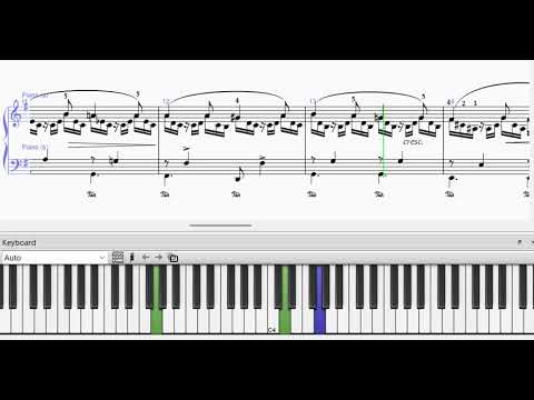 물의 요정과 어부- 콩쿨, 연주회 추천곡-페달,손가락번호 - A. Schmoll-슈몰