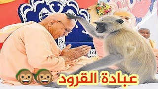 تعرف علي عبادة الحيوانات في الهند و نيبال Animal worship