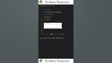 Change Turtle Canvas Size | Python Tutorial