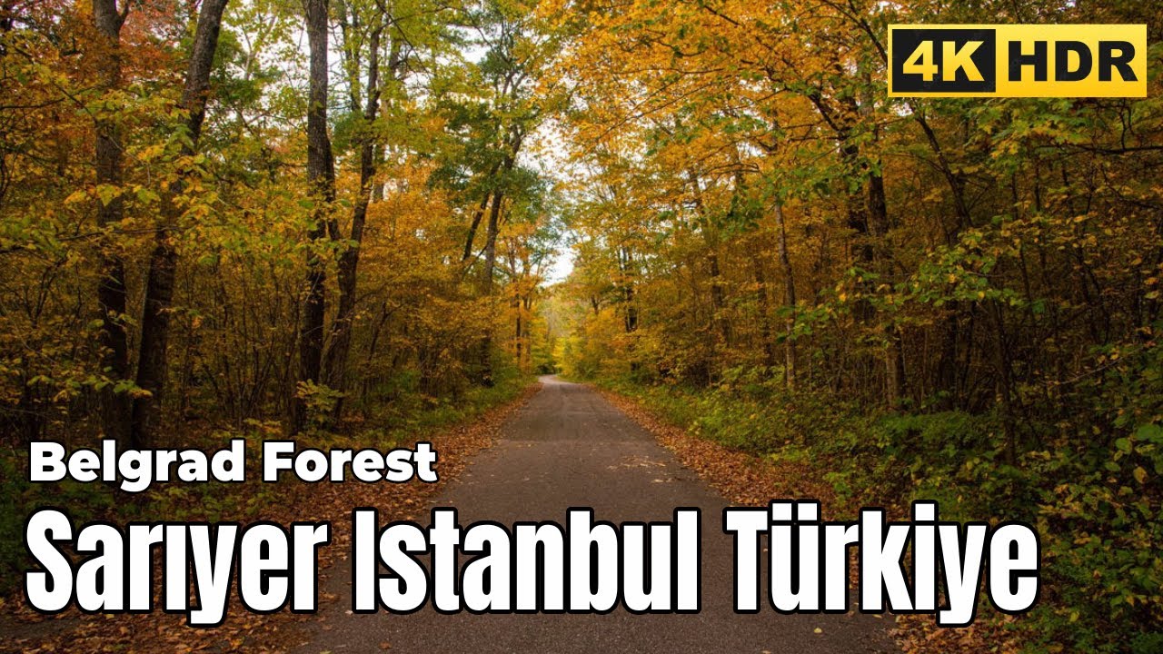 Belgrad Forest Istanbul Türkiye 4K HDR - Belgrad Ormanı
