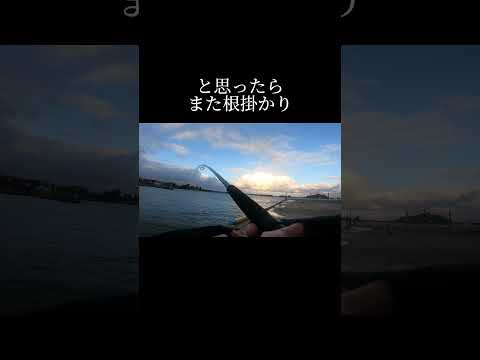 2024年初ヒットで上がってきたのは？！ #釣り #ショアジギング #ルアーフィシング #鳥取釣り