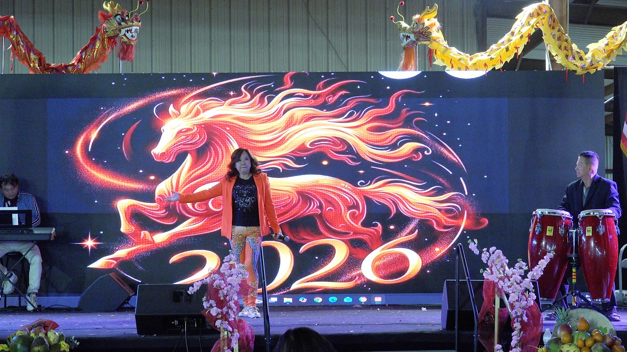 Neu Dieu Do Xay Ra - Ca Sy  VY LAN