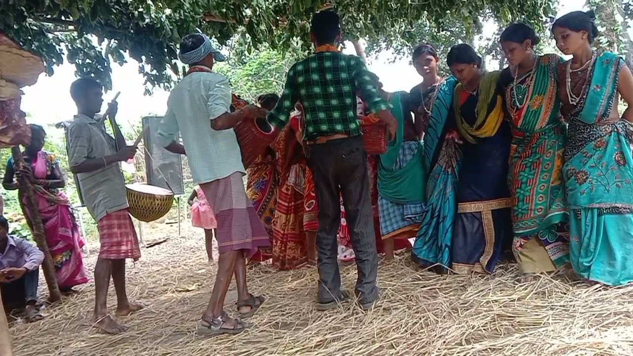 मालता  वीडियो ग्राम बांध घोड़ा 7004602715-6396340169