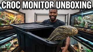 Unboxing MY Crocodile Monitor (Varanus Salvadorii)