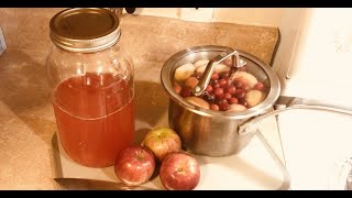 How To Make Kompot Fruit Juice