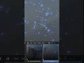 Particle presets, 2d and 3d, in Dust Particles+ 1.3 #blender3d