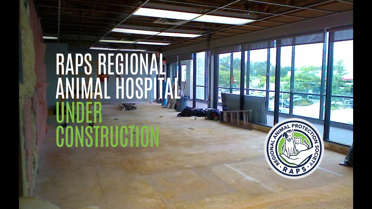 cats inn RAPS New Animal Hospital Walkthrough