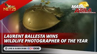 Laurent Ballesta wins Wildlife Photographer of the Year