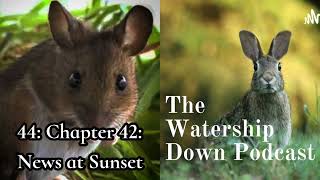 44: Chapter 42. News at Sunset