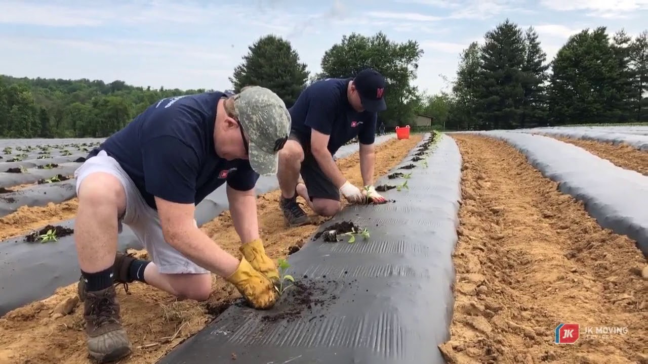 JK Participates in the JK Community Farm Plantathon YouTube