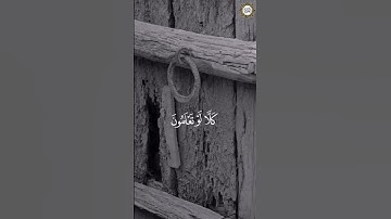 سورة التكاثر قارئ الشيخ / ماهر المعيقلي