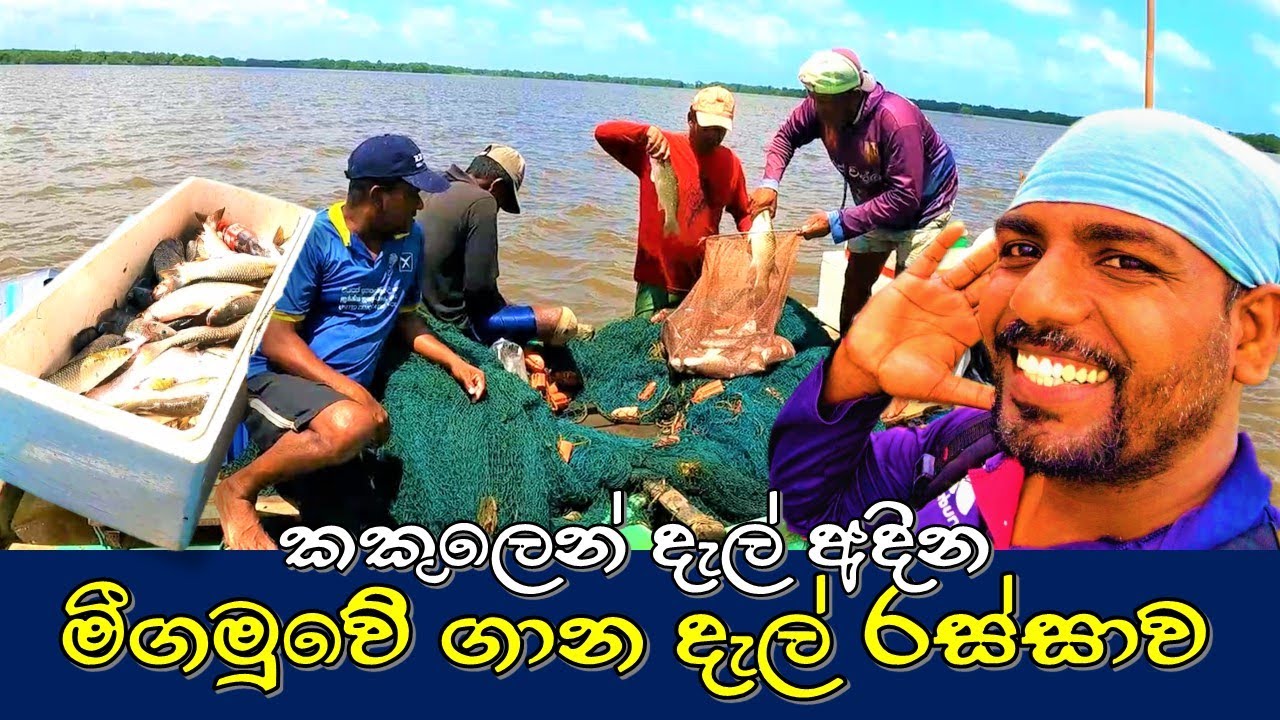 ගාන දැල් රස්සාව | Leg pulling net fishing | @wishwatiyubaya 👣😲