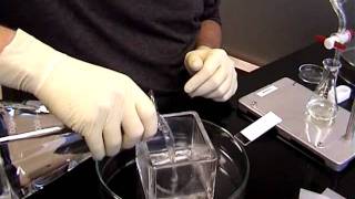 Coating Grids With Formvar