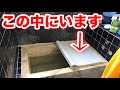 一軒家で大学生がガチでかくれんぼしたらまじで見つからないwww.