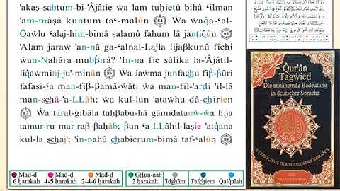 ختمة من مصحف التجويد باللغة الألمانية الصفحة رقم 384