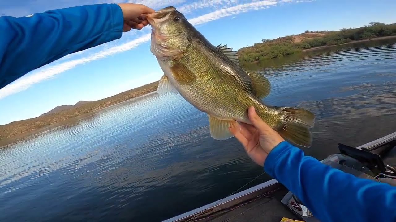 Fall Fishing! SAGUARO LAKE IS BACK (Big Catches)