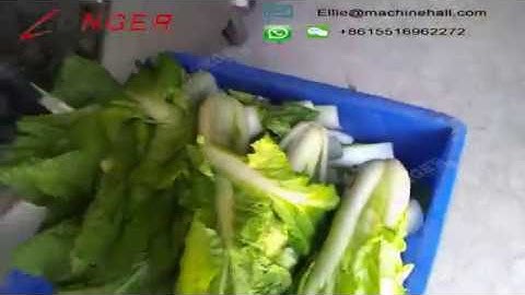 Commercial Celery Root Cutting Machine for Sale