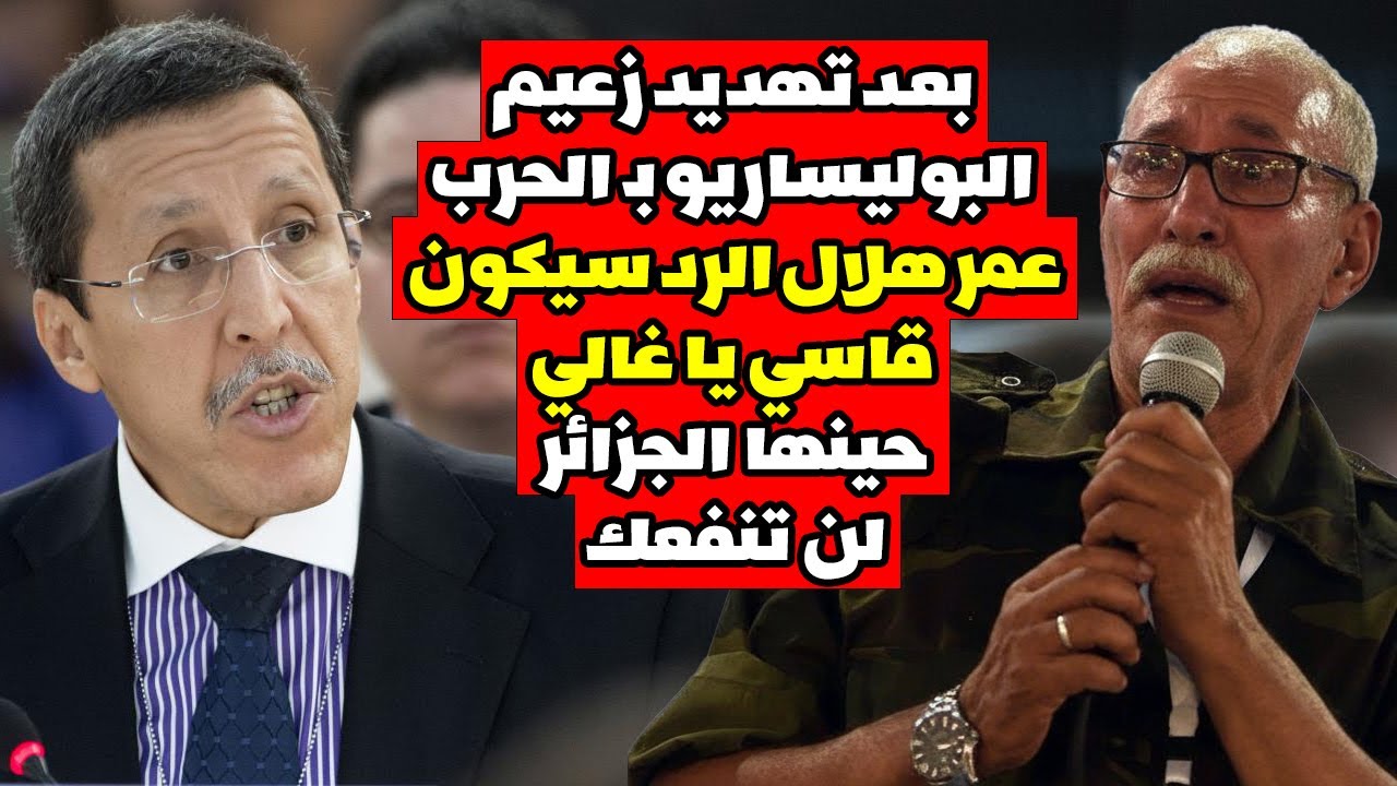 عاجل عمر هلال يتوعد بوليساريو الجزائر بـ حـ ـرب ضروس🔥