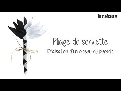 Oiseau Du Paradis Youtube