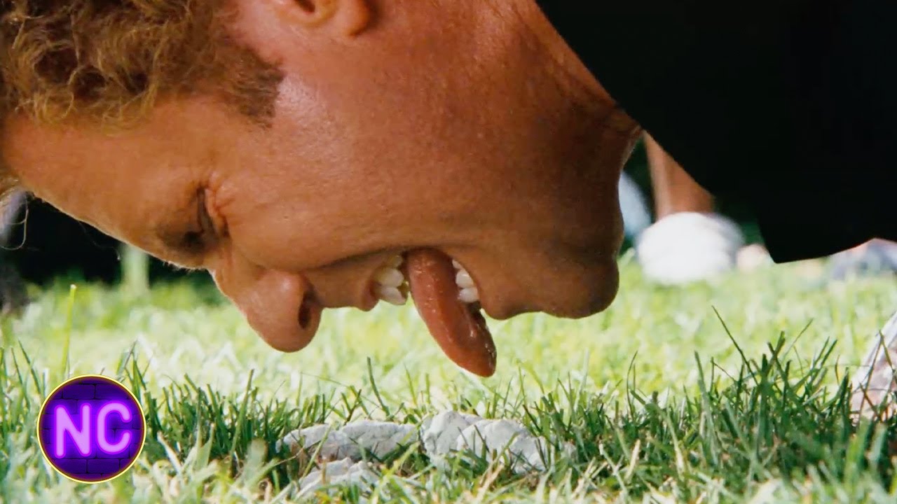 Will Ferrell Licks Dog DoDo Step Brothers (2008) Now Comedy YouTube