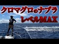 クロマグロと闘ってきた！！