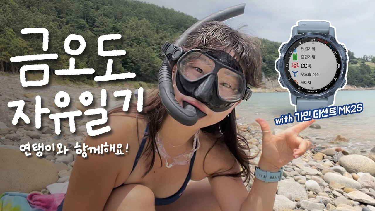 [여수 다이빙] 연탱이의 금오도 자유일기 with 가민 디센트 MK2S