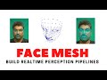 Realtime Facial Landmark Detection