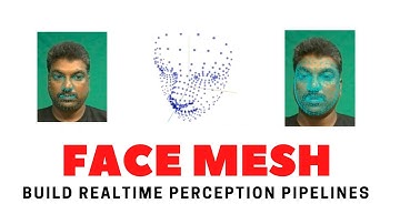 Realtime Facial Landmark Detection