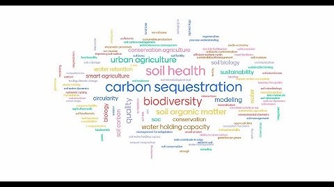 EJP SOIL Webinar 01 "Current state and future needs for soil science capacity in Europe”
