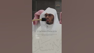 سورة الانسان الاية (٥) - ياسر الدوسري #قرآن #اكسبلور #ياسرالدوسري #القرآن_الكريم #القران #لايك