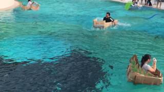 Cardboard Boat Building Race with Jambar Team Building