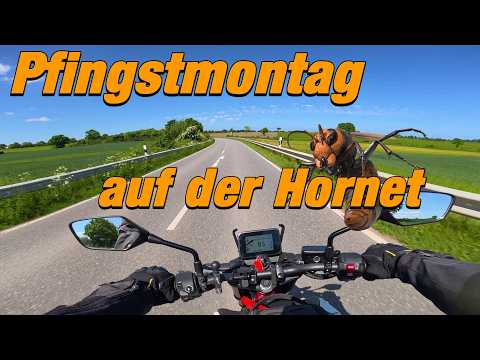 Pfingstmontag auf der Hornet 🏖🌞