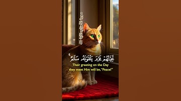 سورة الأحزاب الآية 41 #قرآن #الأحزاب #سورة_الأحزاب