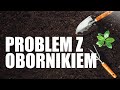 PROBLEM Z OBORNIKIEM - FAKTY NA WYNOS