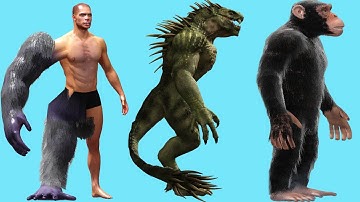 Idle Transformation! MAX LEVEL WOLF, YETI, MUMMY EVOLUTION!