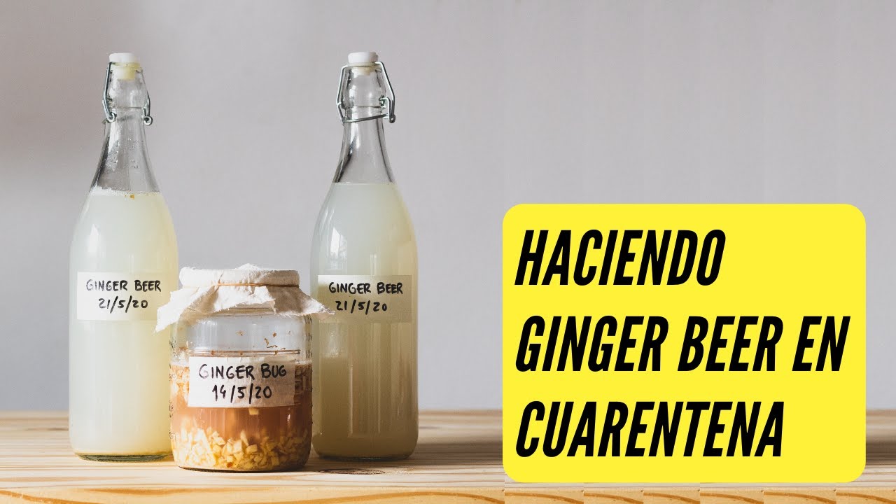 🍺 [APRENDE Cómo hacer GINGER BEER] ► CERVEZA DE JENGIBRE en CUARENTENA