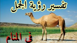 تفسير رؤية الجمل في المنام | حمدي الدمرداش