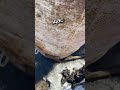 Шашлык в тандыре