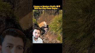 Lioness vs Giraffe Newborn Baby | Jungle Ki Sabse Emotional Survival Fight 😢🦁